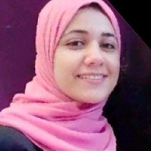 Alaa Salem-Freelancer in Dubai,UAE