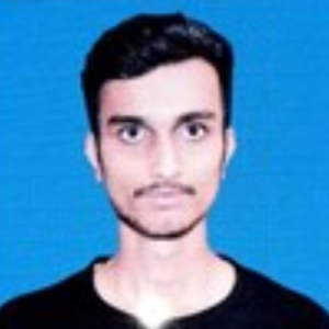 Surya P. Pareek-Freelancer in Kishangarh,India