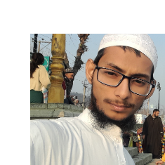 Md Hanzala-Freelancer in New Delhi,India