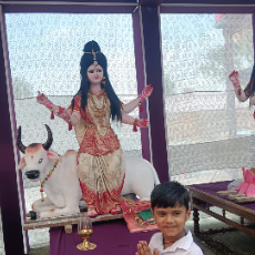 Harish Sahu-Freelancer in Indore,India