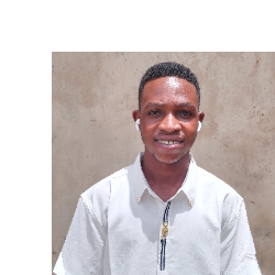 Olateju Oluseyi-Freelancer in Oyo,Nigeria