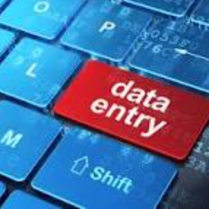 Firdaus Ansari-Freelancer in Ranchi,India