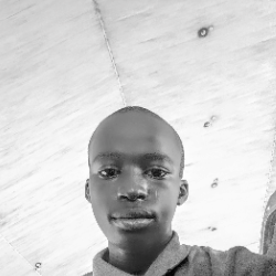 Muiz Tee-Freelancer in Ilorin,Nigeria
