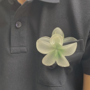 Sahil Shah-Freelancer in Muzaffarnagar,India