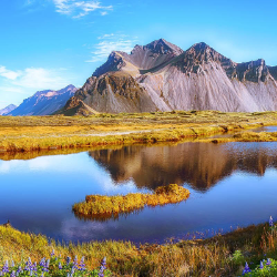 Nadia Laila-Freelancer in Berlin,Germany