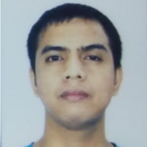 Reynold-Freelancer in Sta. Rosa,Philippines