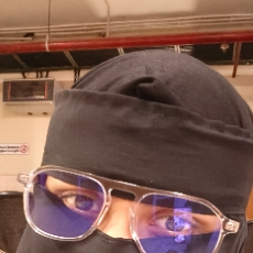 Ansiya-Freelancer in Cherukkode,India