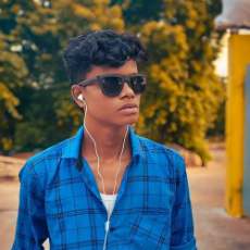 Vrd Vetrivel-Freelancer in Anniyur,India