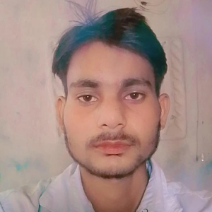Sandeep Kumar Sahu-Freelancer in Sidhi,India