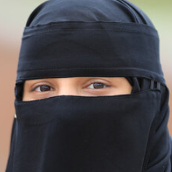 Sheik Bibeejan-Freelancer in Nellore,India