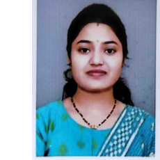 Dhansetu Advisors-Freelancer in Umred,India