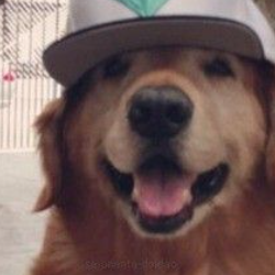 Yesh V-Freelancer in Cebu City,Philippines