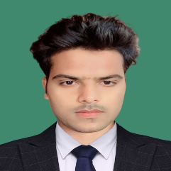 Sartaj Ansari-Freelancer in Mumbai,India