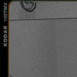 Sandani Nilakshi-Freelancer in Wattala,Sri Lanka