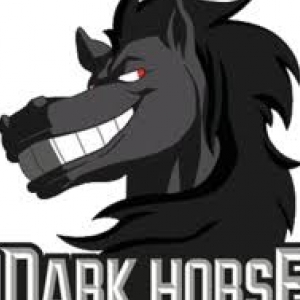 Darkhorse Lab-Freelancer in Lahore,Pakistan