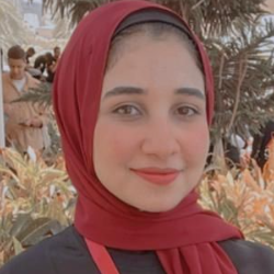 Nour Elmeshneb-Freelancer in cairo,Egypt