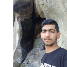 رضا قوم دوست-Freelancer in Shotorak,Seychelles