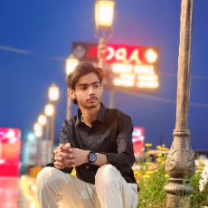 Sadik Raza-Freelancer in New Delhi,India