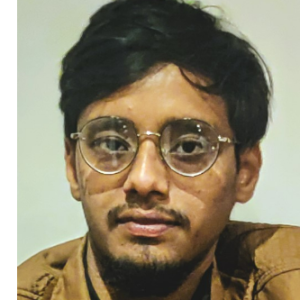 Zaid Ansari-Freelancer in Bhopal,India