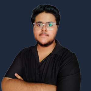 Prince Lohia-Freelancer in Delhi, India,India