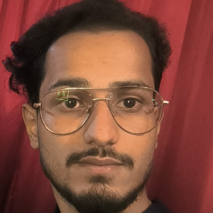 Hasan Ansari-Freelancer in kota,India