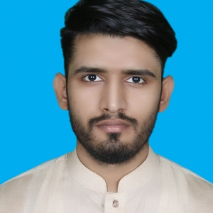 Ali Raza-Freelancer in Islamabad,Pakistan