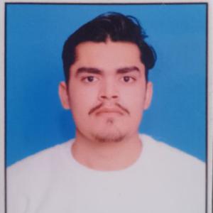 Prateek Dhiman-Freelancer in Panipat,India