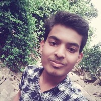 Anshul Sahu-Freelancer in Raipur Division,India