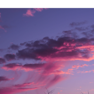 Shwetali Dhilpe-Freelancer in Mumbai,India