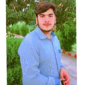 Muhammad Anas-Freelancer in Dera Ghazi Khan,Pakistan
