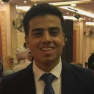 Amr Eldesouki-Freelancer in ,Egypt