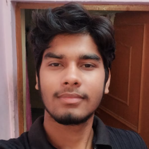 Prathvi Singh-Freelancer in Muradnagar,India