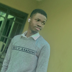 Elijah Oyewusi-Freelancer in Alabata,Nigeria