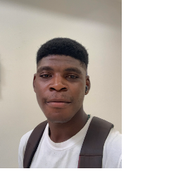 Peter Okwoli-Freelancer in Abuja,Nigeria