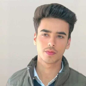 arpit malik-Freelancer in Gelpur,India