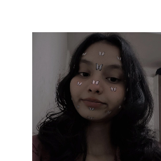 Pavitra K-Freelancer in Lingsugur,India