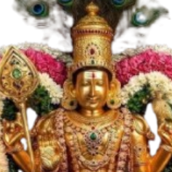 Charu Prabha-Freelancer in Coimbatore,India