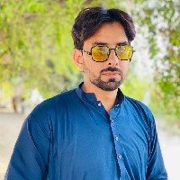 Waseemmalik5858-Freelancer in Faisalabad,Pakistan