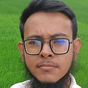 Dider Islam-Freelancer in Bhaluka,Bangladesh