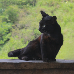 Minh Nghia Duong-Freelancer in Thành phố Cao Bằng,Vietnam