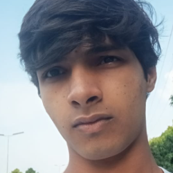 Bhuvansh Dhiman-Freelancer in Panchkula,India