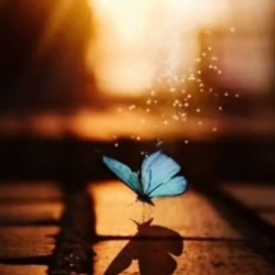 Muhammad Amjad-Freelancer in Lahore,Pakistan