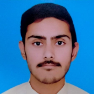 Waleed Hashmi-Freelancer in Islamabad,Pakistan