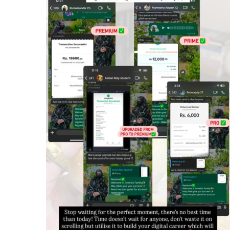 Mahnoor Iftikhar-Freelancer in At Taif,Saudi Arabia