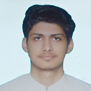 Saif Dharejah-Freelancer in Multan,Pakistan