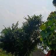 Aakash Kr Yadav-Freelancer in Latehar,India