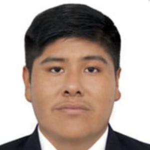 Romel Yanqui-Freelancer in Arequipa,Peru