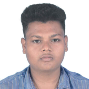 Sangramjit Biswas-Freelancer in Barasat,India