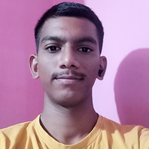 Dip Sarkar-Freelancer in Pune,India