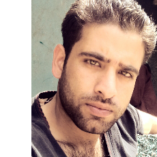 Nassir-Freelancer in Srinagar,India